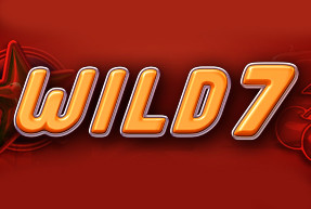 Wild 7 без регистрации