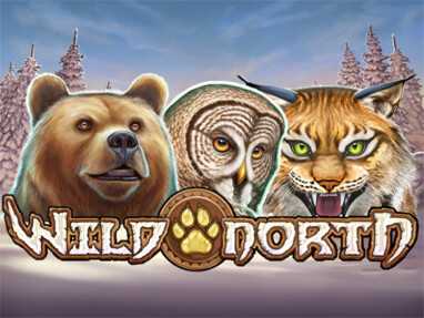 Wild North без регистрации